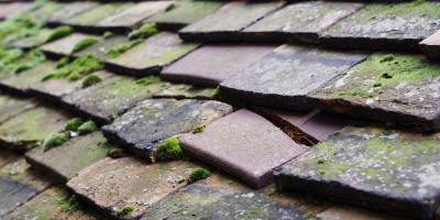 St Anthonys Hill roof repair costs